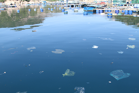 Khu vực sát bờ đảo Bình Ba đã bị ô nhiễm nặng