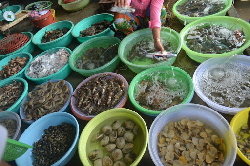 Khám Phá Ẩm thực hải sản vịnh Nha Trang