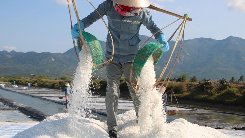 Khánh Hòa Sẽ gắn kết hoạt động du lịch biển với du lịch trải nghiệm sản xuất và chế biến muối