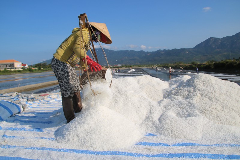 Khánh Hòa Sẽ gắn kết hoạt động du lịch biển với du lịch trải nghiệm sản xuất và chế biến muối