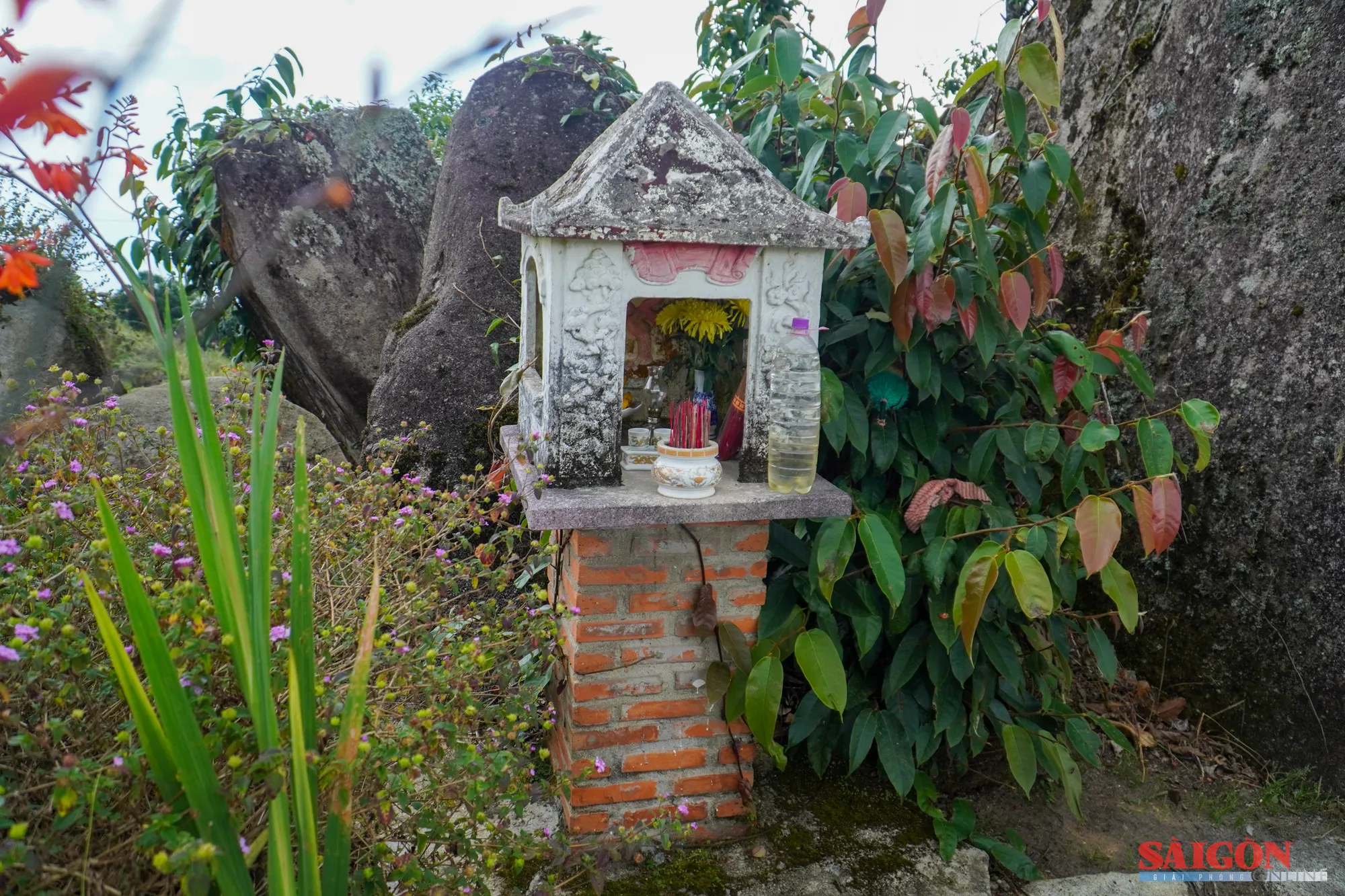 dasua-09018.jpg